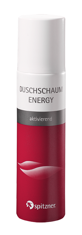 Duschaum Energy