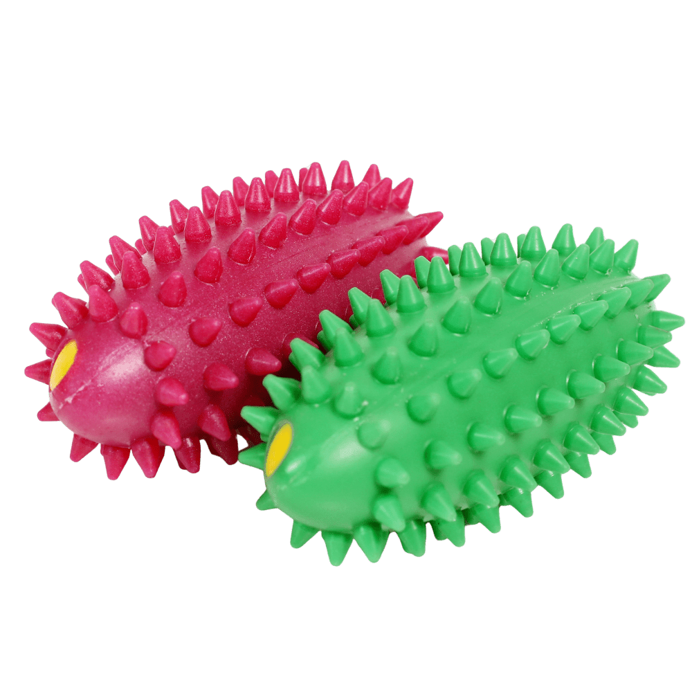 Brasil Bewegungsprofi-Set