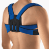 Bort Geradehalter StabiloFix Universal, blau, hinten
